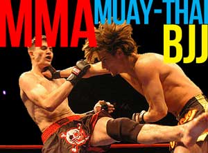 mma bjj muay thai mixed martial arts mumbai home Home